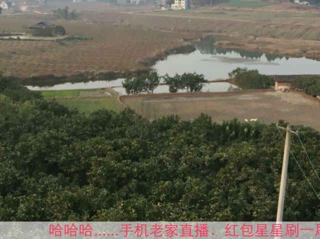 妖妹：单纯找酒伴主播照片