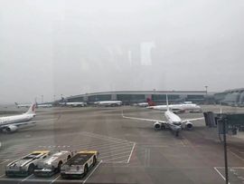0左左右右0主播照片