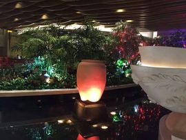 0左左右右0主播照片