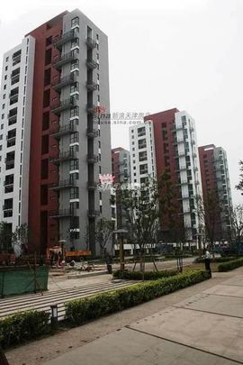 天悦限量版妞妞哥哥主播照片