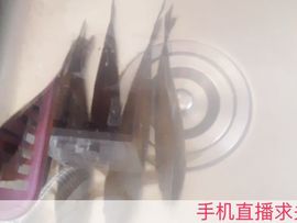 辣花凤姐主播照片