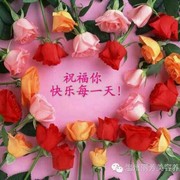 微信_4137027