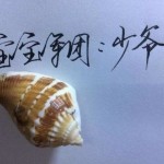 宝宝军团-少爺