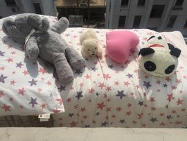 ✿灬小小小小小茉莉主播照片