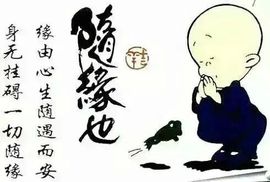 ん♀小怪兽主播照片