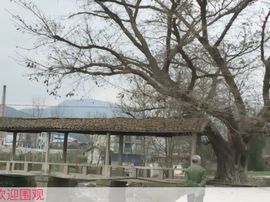 😱……主播照片