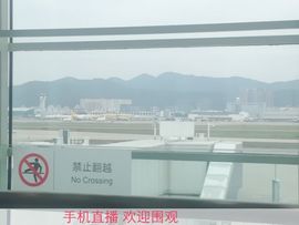 狼窝王者荣耀主播照片