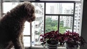 微信_4529465