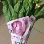 江小江d