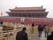 佳哥ho