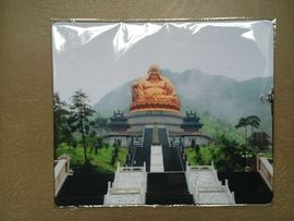 淘宝-树哥鼠标垫主播照片