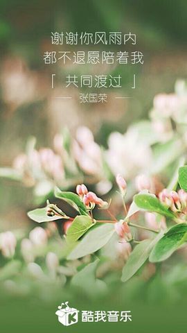 猫、媚娘主播照片