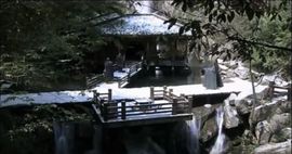 中東五虎主播照片