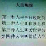 叶子不忘初心