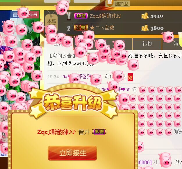 牡丹6万🌹金牌代理的图片