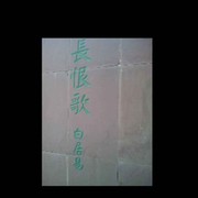 2016/【泽鑫】