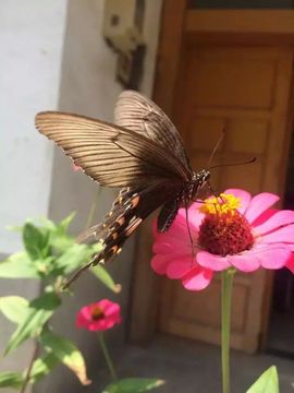 、小唯主播照片