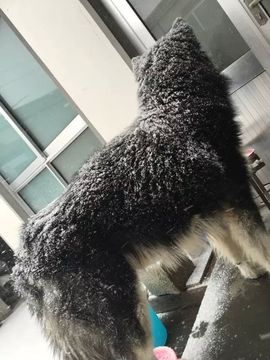 、小唯主播照片