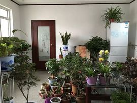 、小唯主播照片