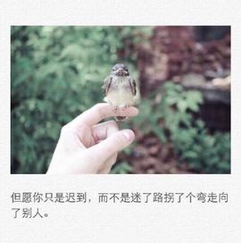娜娜XI主播照片