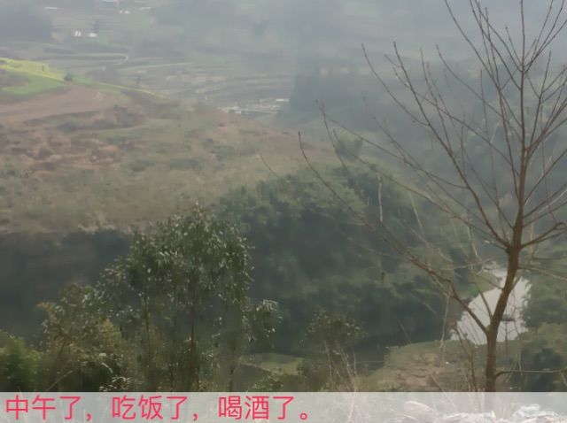 孤独的重庆狼的主播照片