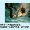 轩轩爱你们哟海报
