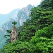 昵称违规，请重新修改的头像