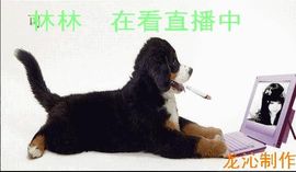 天音小琪主播照片