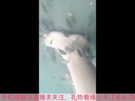 😱……主播照片