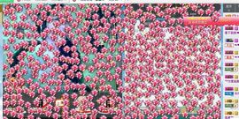 风飞🌸花落主播照片