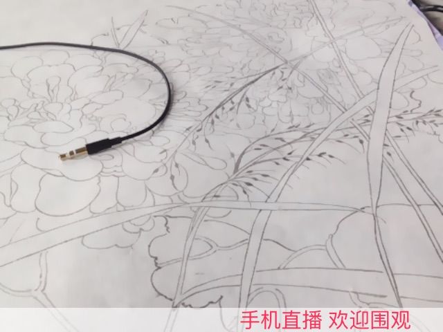 郑安宁主播照片