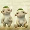 在路上cr