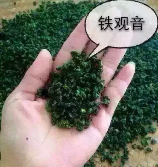 ♨️じ★╮茶香哥哥✿的主播照片