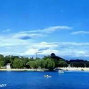 愿得一人心🎵海报