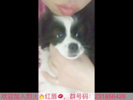 荭唇💋主播照片