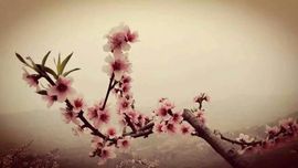 ღ蔡蔡🎙主播照片