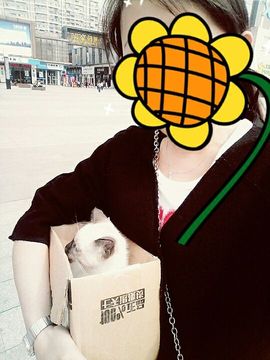 ~zZ小鱼♀喵喵主播照片
