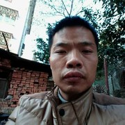 微信_8440313