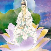 微信_8482364海报