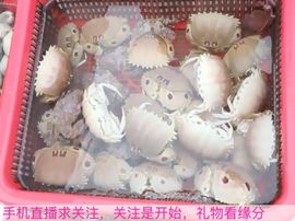 😱……主播照片