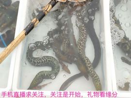 😱……主播照片