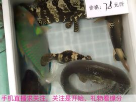😱……主播照片
