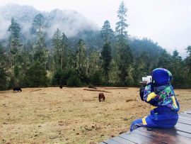 翠被冷落凄余馨主播照片