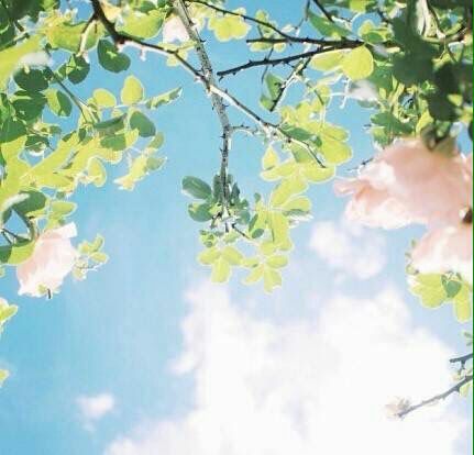 小笙✿晚上七夕见主播照片
