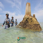 美丽的春天.