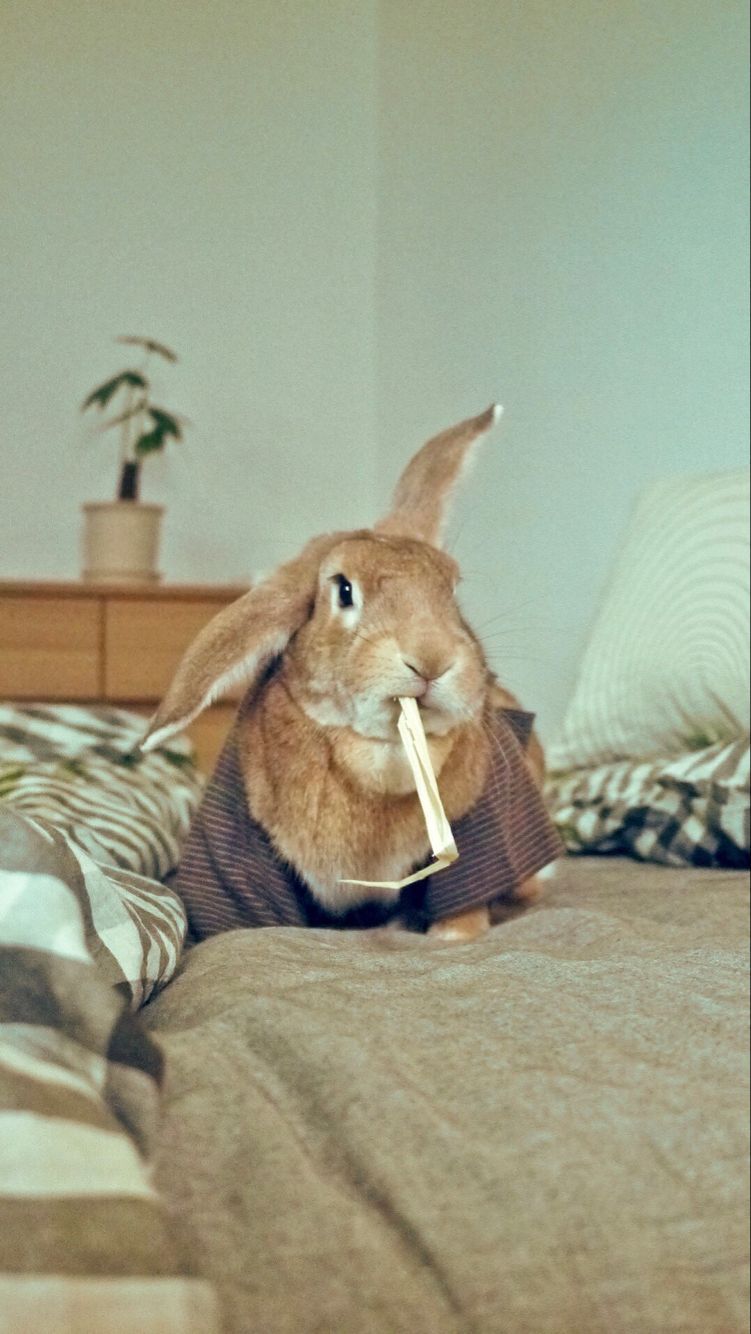 *晴*天*緣*的主播照片