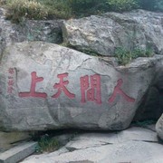 微信_8730239