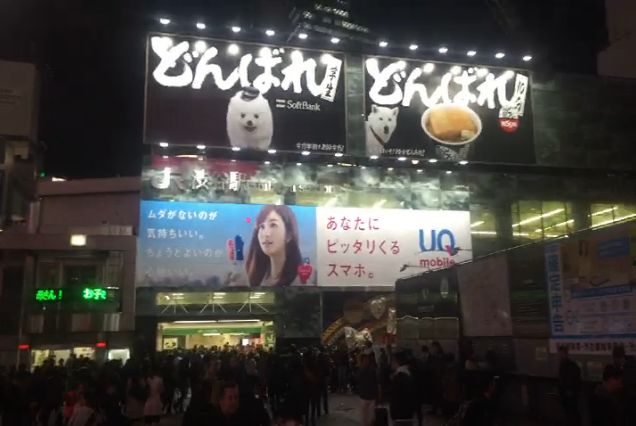習慣有妮的图片