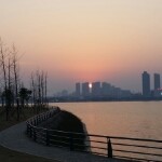 七哥。。海报