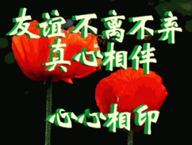 天悦限量版妞妞哥哥主播照片